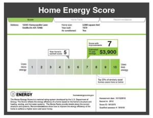 Energy efficiency and the home energy score.